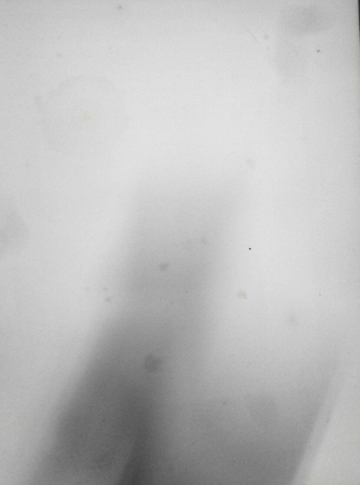 Sir Walter Scott - original engraving - 1876 - Duyckinck Int'l Gallerie