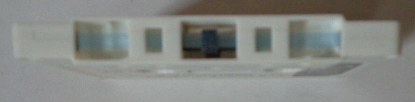 A Swinger of Birches: Poems of Robert Frost For Young People Audio cassette book