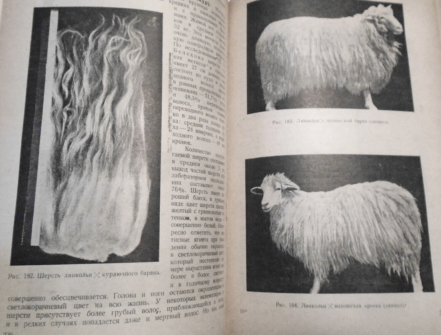 Ovtsevodstvo, by M. F. Ivanov. 1933. Moscow. Sheep breeding. In Russian