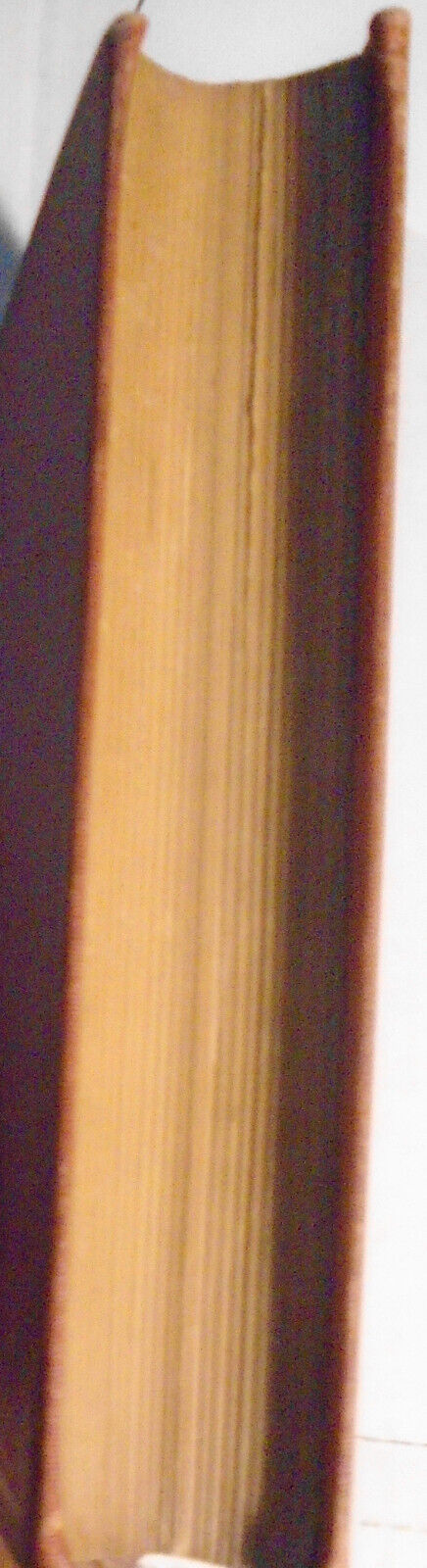 Henry James : Roderick Hudson. First American edition, 1876. First state.