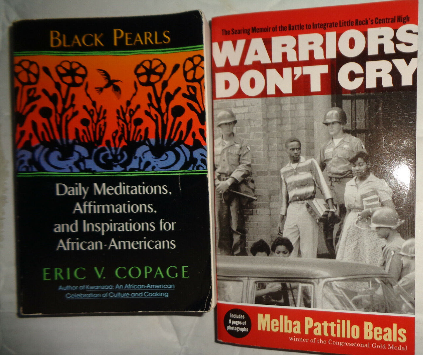 19 African-American books - Ellison Wright MLK Malcolm Baldwin Slave narratives
