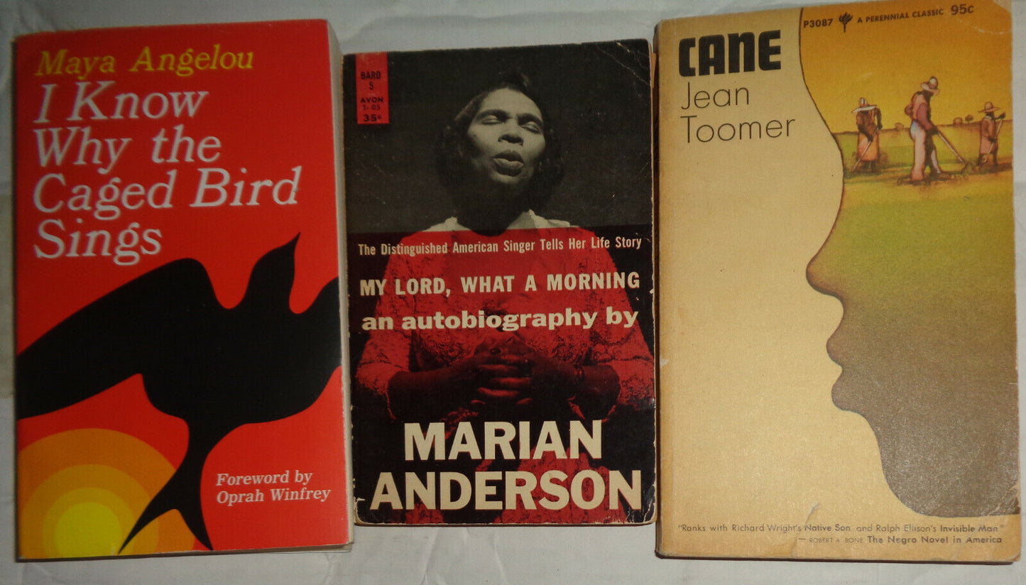 19 African-American books - Ellison Wright MLK Malcolm Baldwin Slave narratives