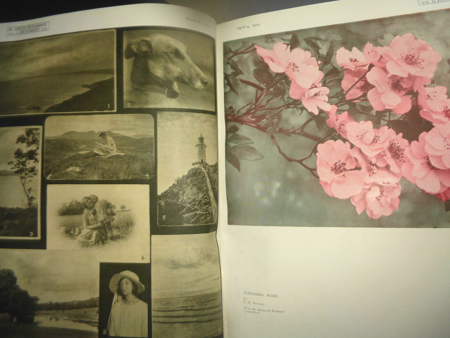 AMATEUR PHOTOGRAPHER & PHOTOGRAPHY, 1923 - 1924. All photos bound volume.