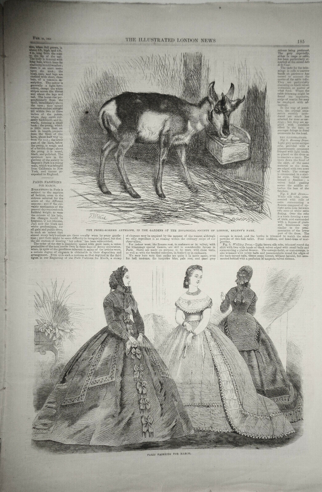 THE ILLUSTRATED LONDON NEWS FEBRUARY 25, 1865 - ORIGINAL ISSUE - NAPOLEONISM