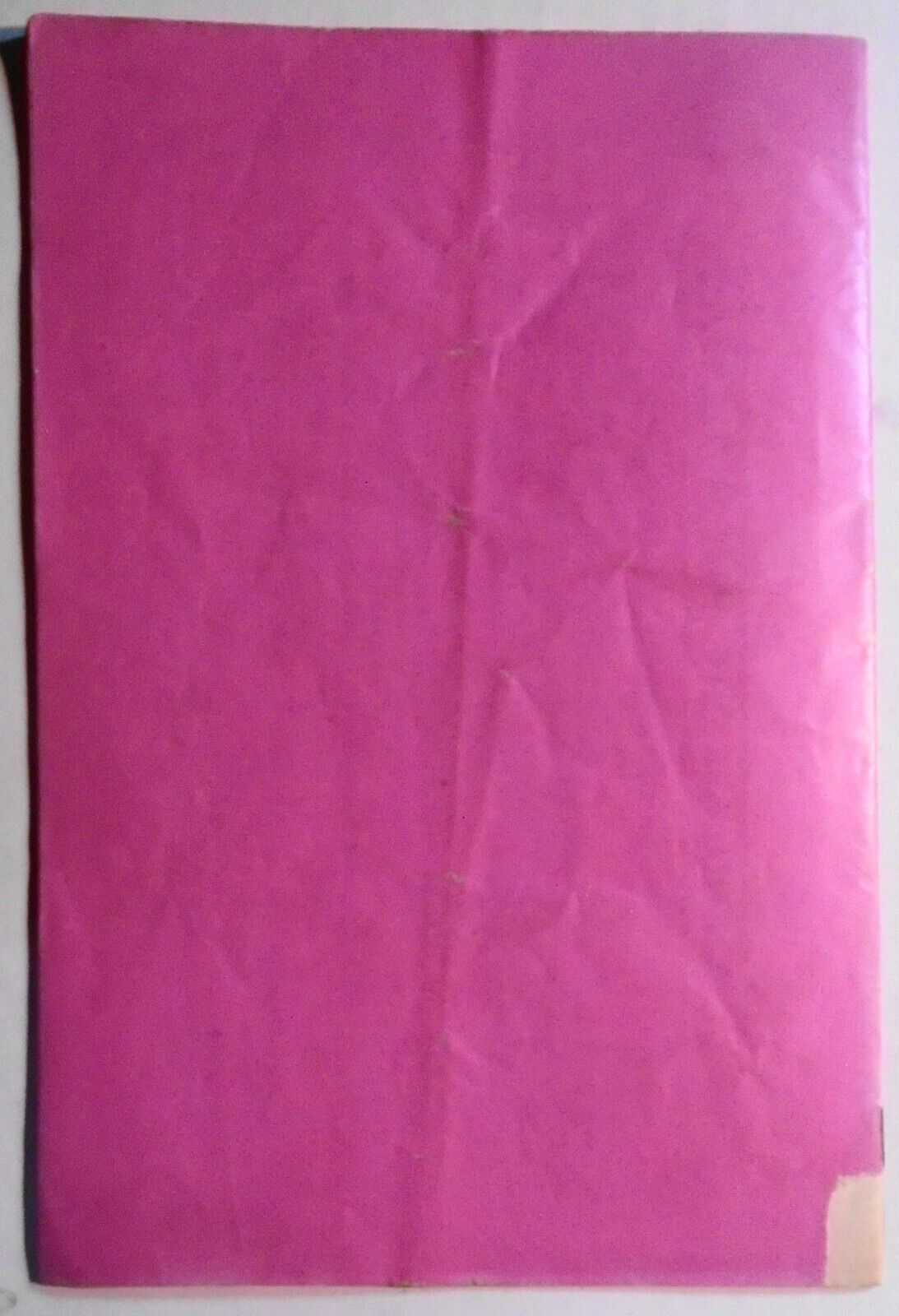 1903 Guide Of Chinatown and Souvenir Programme, New York City. Charles Gong, Pub