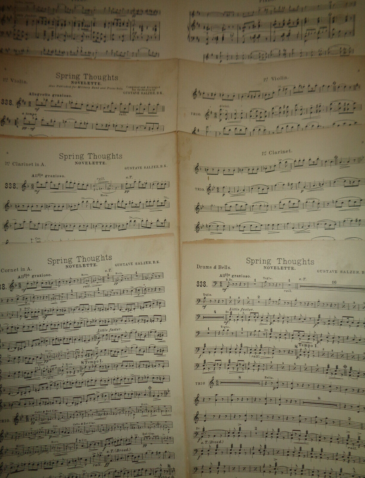 Spring thoughts : novelette, by Gustave Salzer. 1912. For orchestra