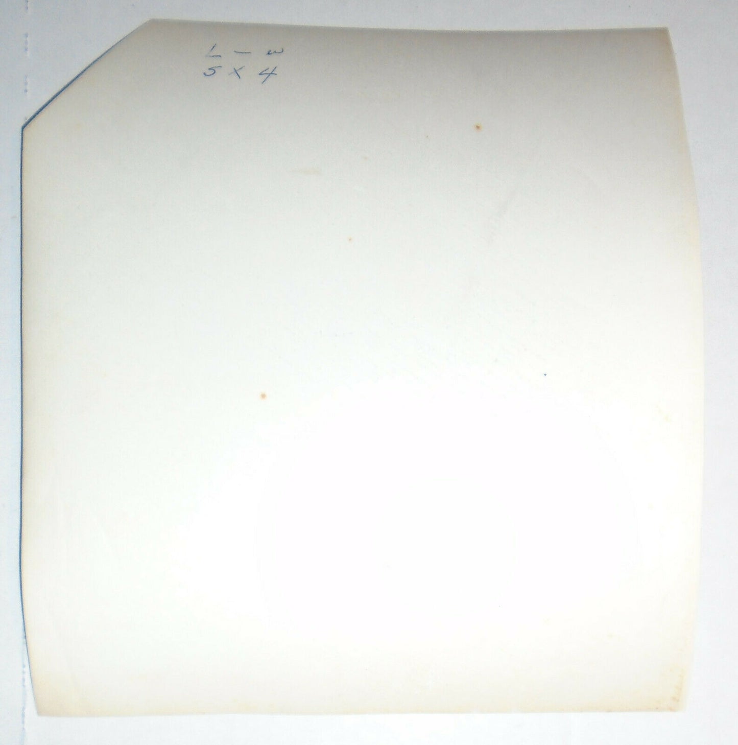 1964 Marguerite Belafonte, with Coretta Scott King hat designer Linda Page