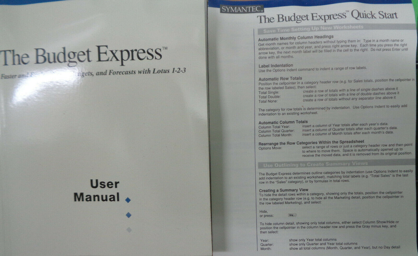 The Budget Express : faster, easier plans, budgets, forecasts with Lotus 1-2-3