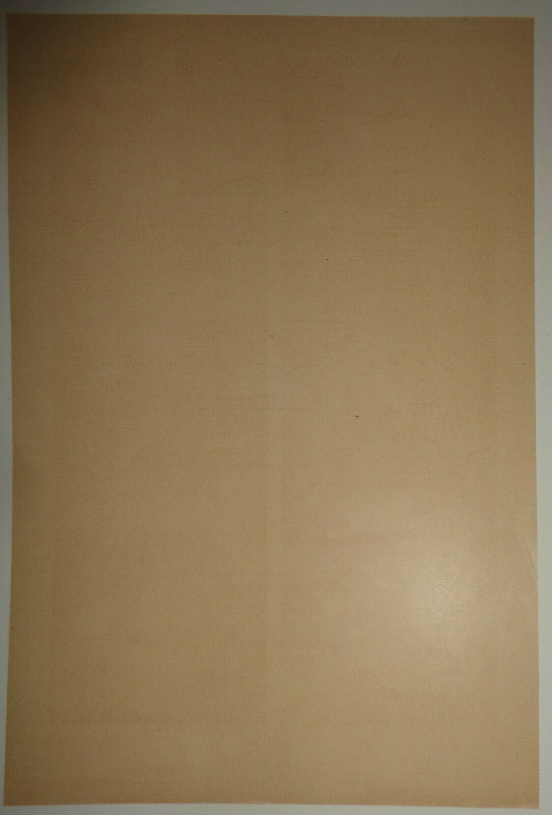 1895 Wasser-Tiere by G. Sturm. Chromolithograph Fish, lobster, crab, eel, etc