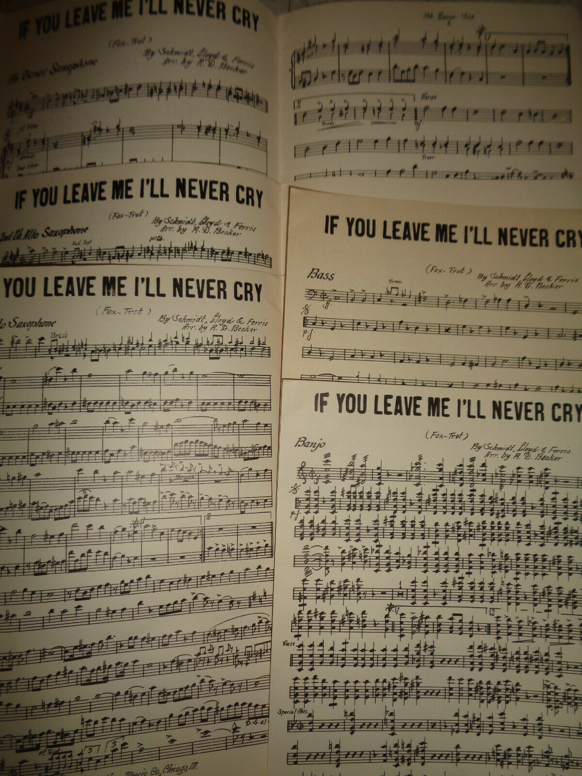 Let Us Waltz As We Say Good-Bye / If You Leave Me I'll Never Cry -1925 orchestra