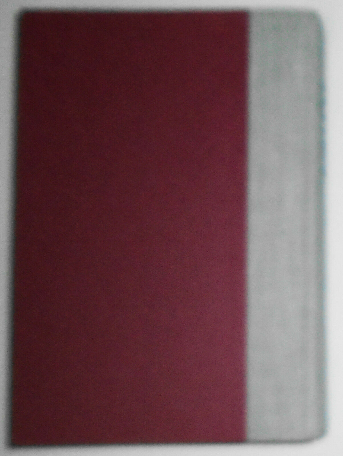 Ryder, by Djuna Barnes. 1979 Hardcover/DJ. Fine/Fine. Illustrations by author.