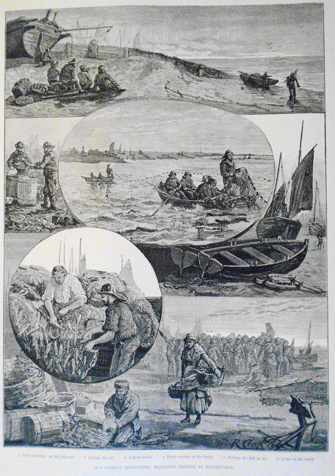 1883  Fishing Industries: Yarmouth Herring/ Int'l Exhibition -many prints & plan