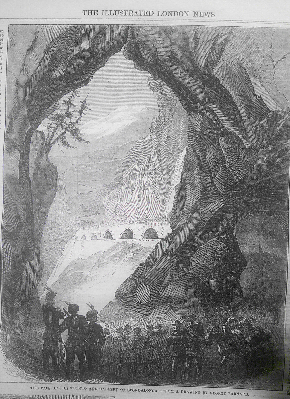 Illustrated London News July 23, 1859. Notre Dame Cathedral Restored. Cattle etc