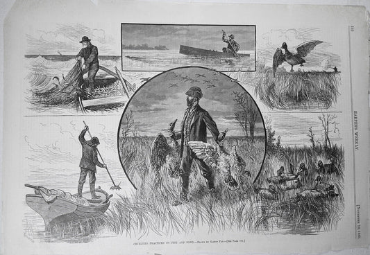 Cruelties Practiced on Fish and Fowl  - Harper's Weekly, November 13, 1880 print