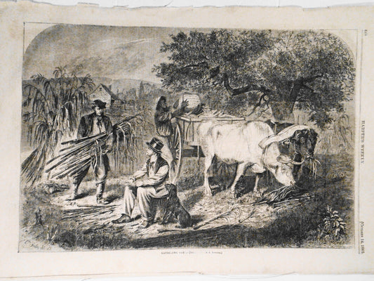 "Gathering Corn", by Edwin Forbes - Harper's Weekly, October 14, 1865