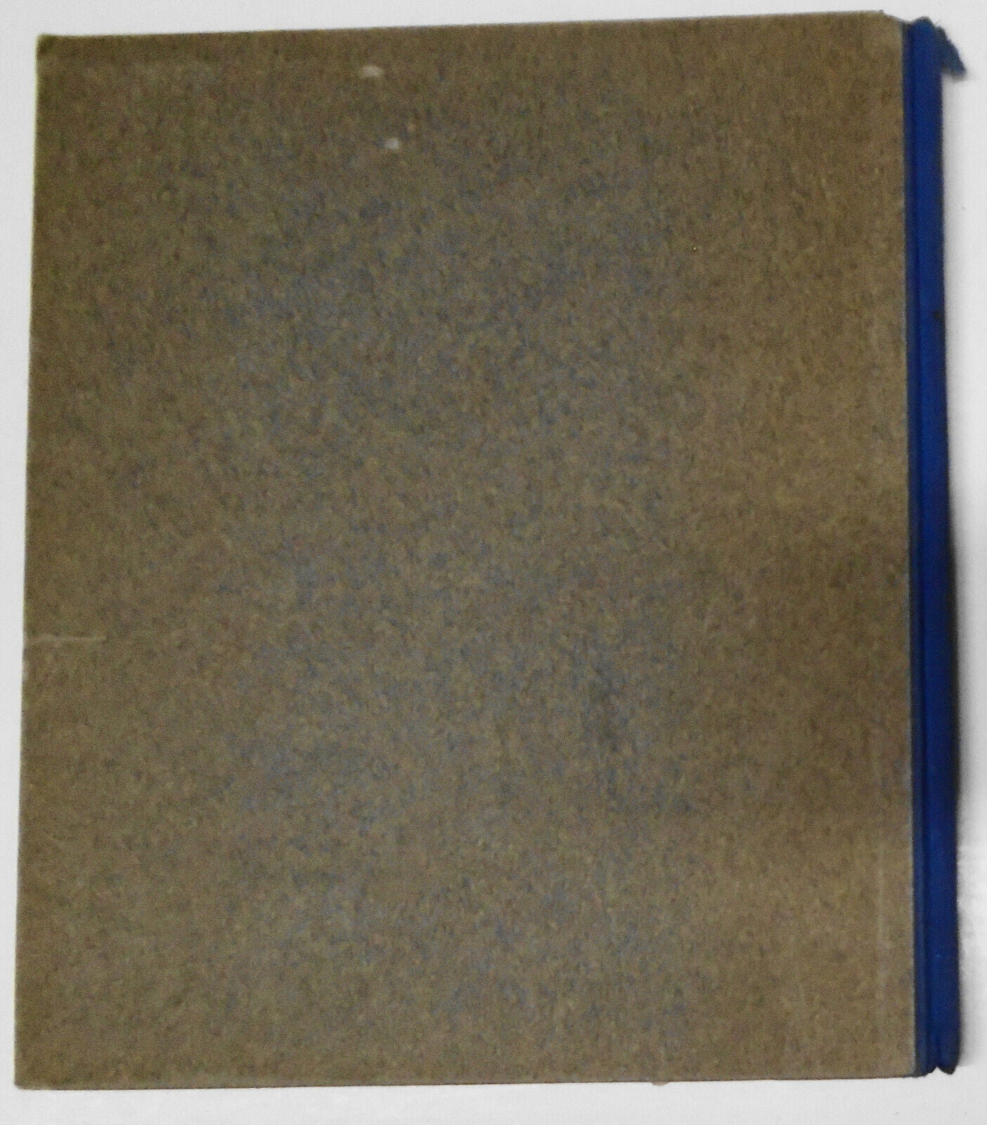 Rudi und Susi die wundersame Geschichte zweier Kinder by Gertrud Caspari [1933]