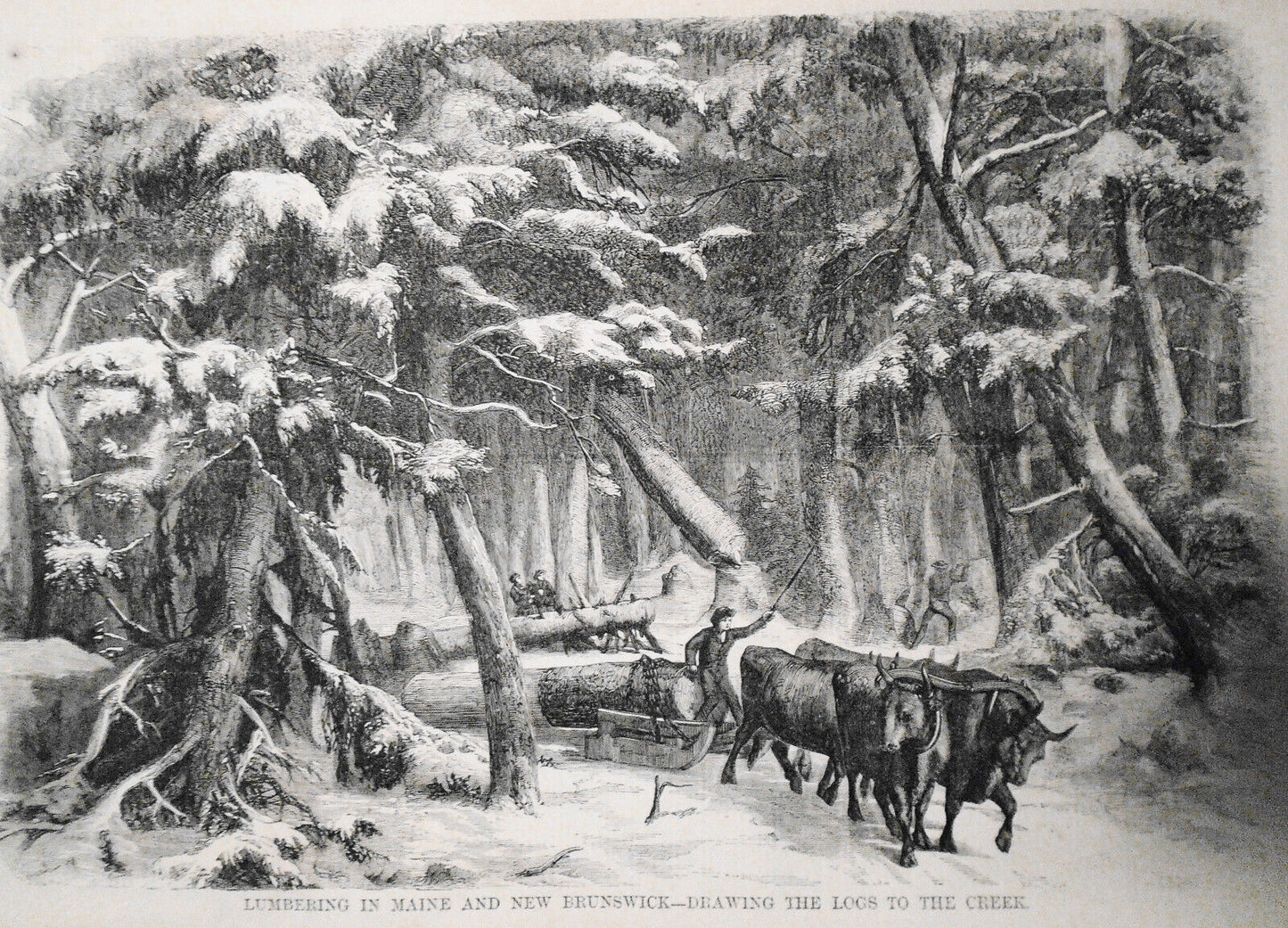 Lumbering in Maine, and New Brunswick - Harper's Weekly 1858 - 3 prints & story