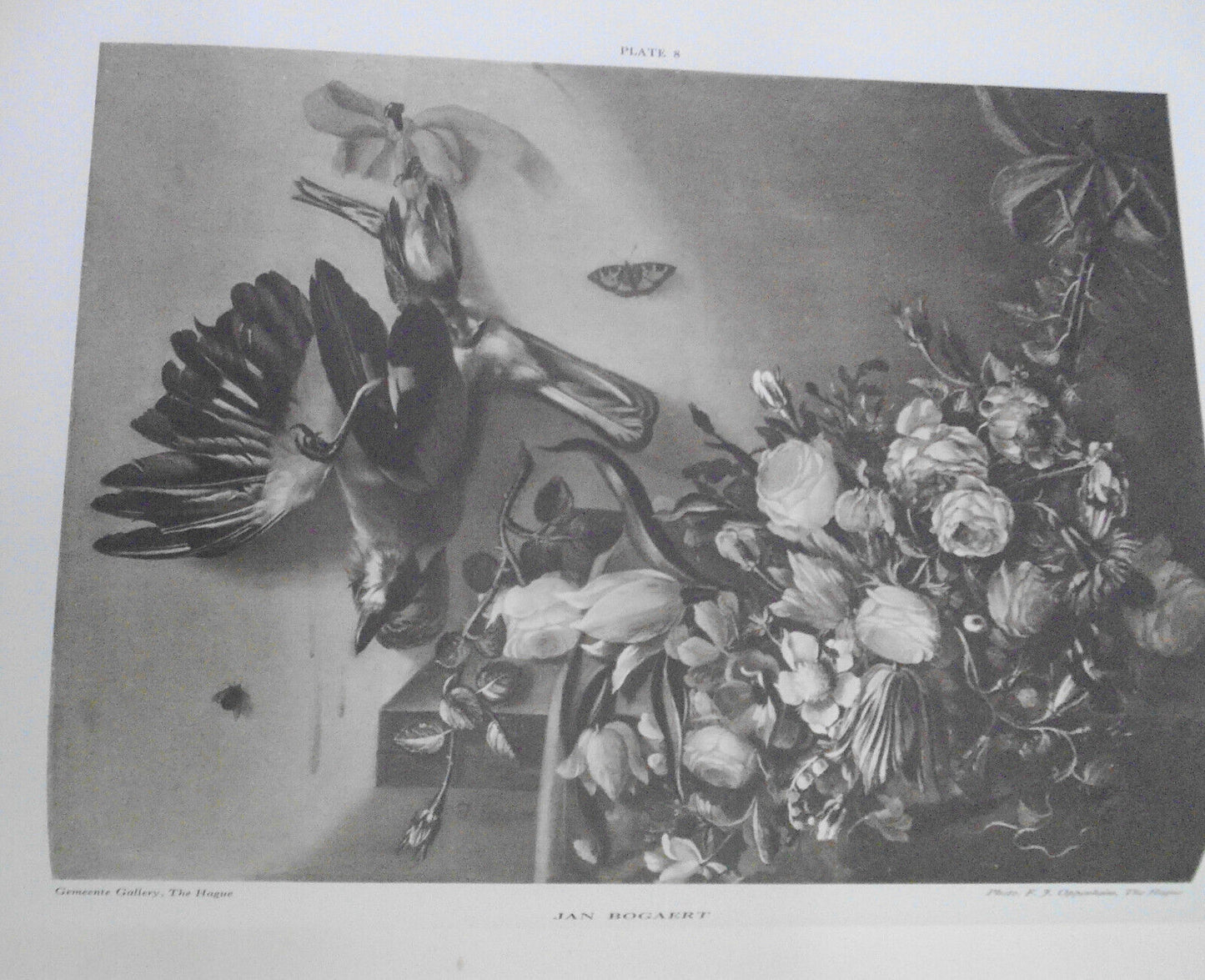 1928 Dutch & Flemish Fruit & Flower Painters of  17th & 18th Centuries - 1st ed