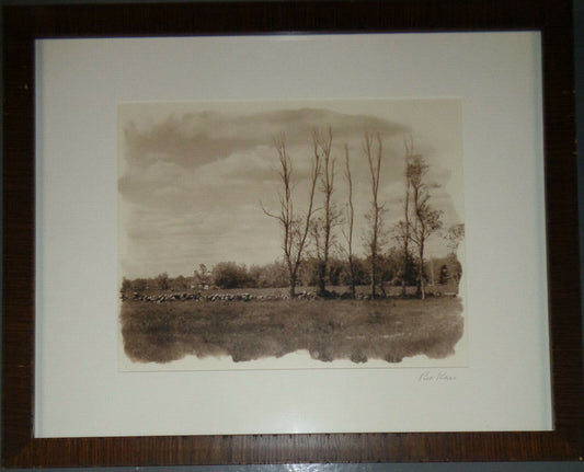Bo Kass : Bare Trees in Winter. - Signed Toned silver gelatin photograph - 2002