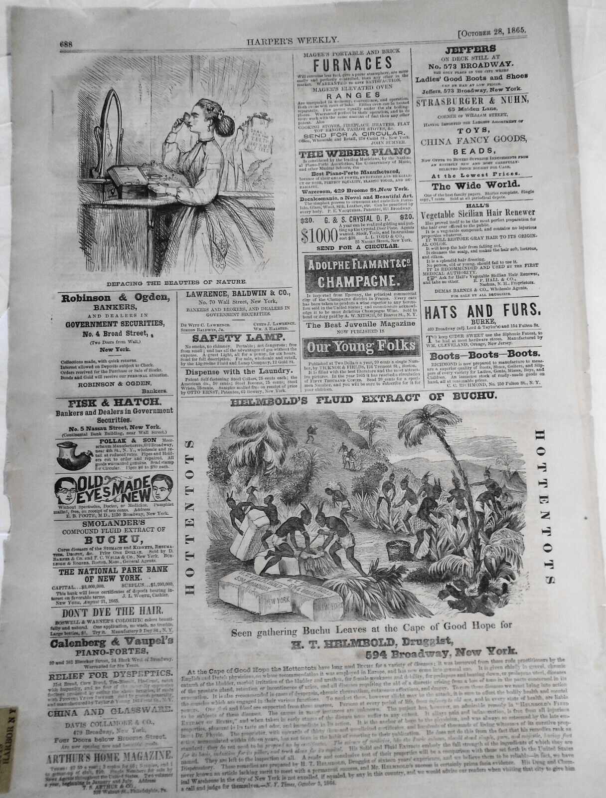 Defacing the Beauties of Nature - Harper's Weekly October 28, 1865. [Cosmetics]