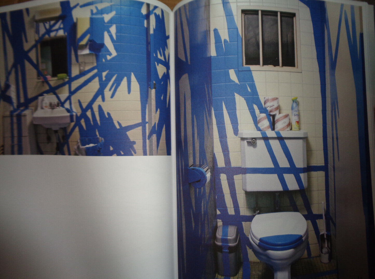 Agathe de Bailliencourt : Despite Territories - SIGNED - Berlin Revolver, 2010