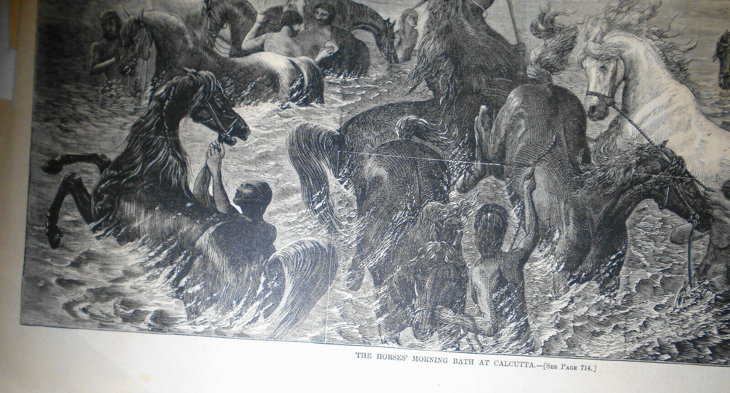 The Horses' Morning Bath at Calcutta -  Harper's Weekly, November 7, 1868 Print