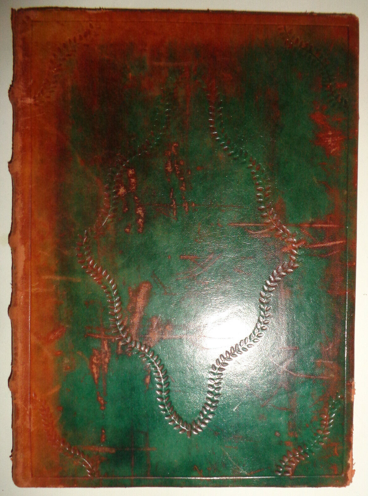 The Genus Bazzania In Central And South America. 1946. Custom leather binding