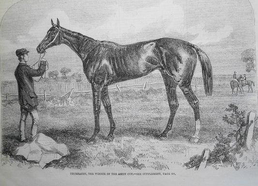 The Ascot Races /  Thormanby, the Winner of the Ascot Cup - 1861