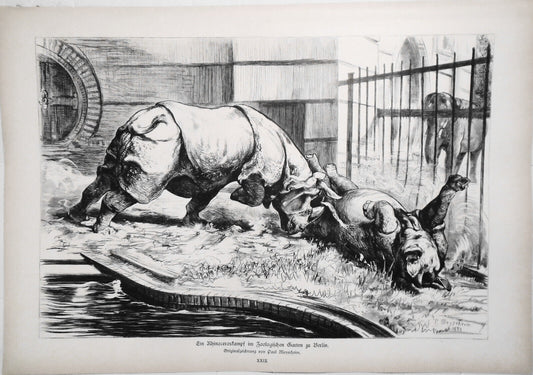 Ein Rhinoceroskampf im Zoologischen Garten zu Berlin, von Paul Meyerheim - 1882