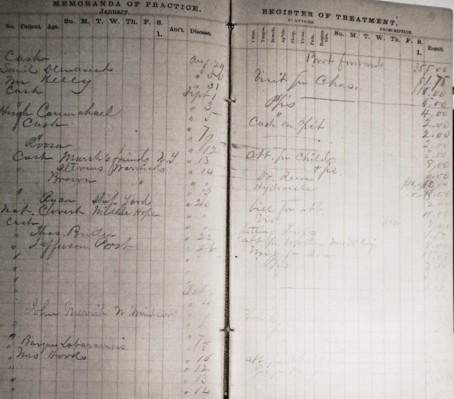 Physician's Hand-Book of Practice 1859 of Dr Smith Ely, Newburgh 1860-66 records