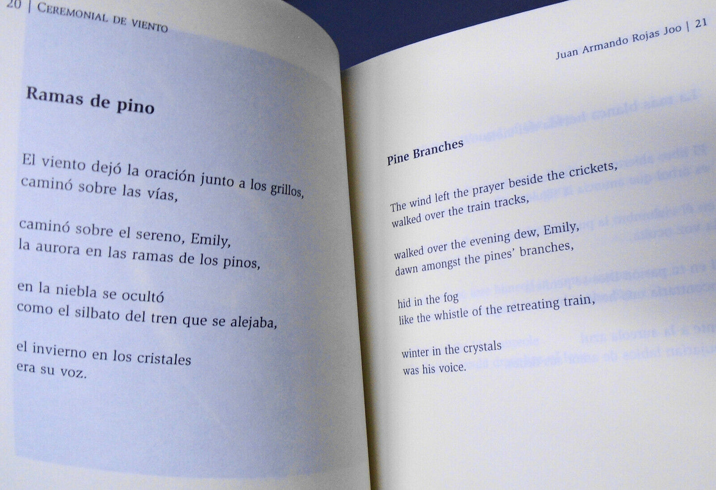 Ceremonial de Viento = Ceremonial of Wind - [SIGNED], by Juan Armando Rojas Joo