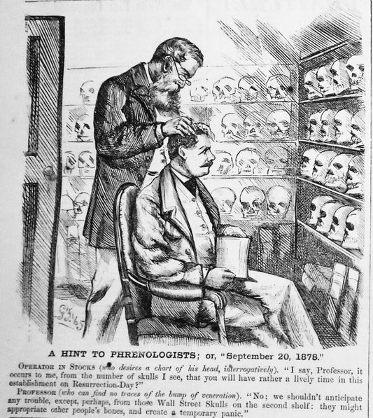 A Hint to Phrenologists; or, September 20, 1878 -  in Harper's Weekly, 1865
