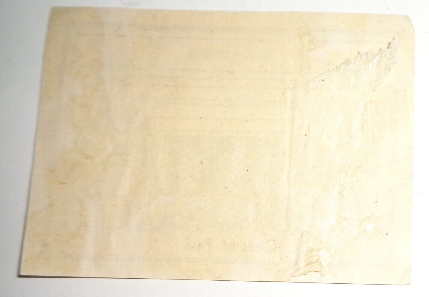 Clara M. Paul Ex Libris Bookplate - 1940's