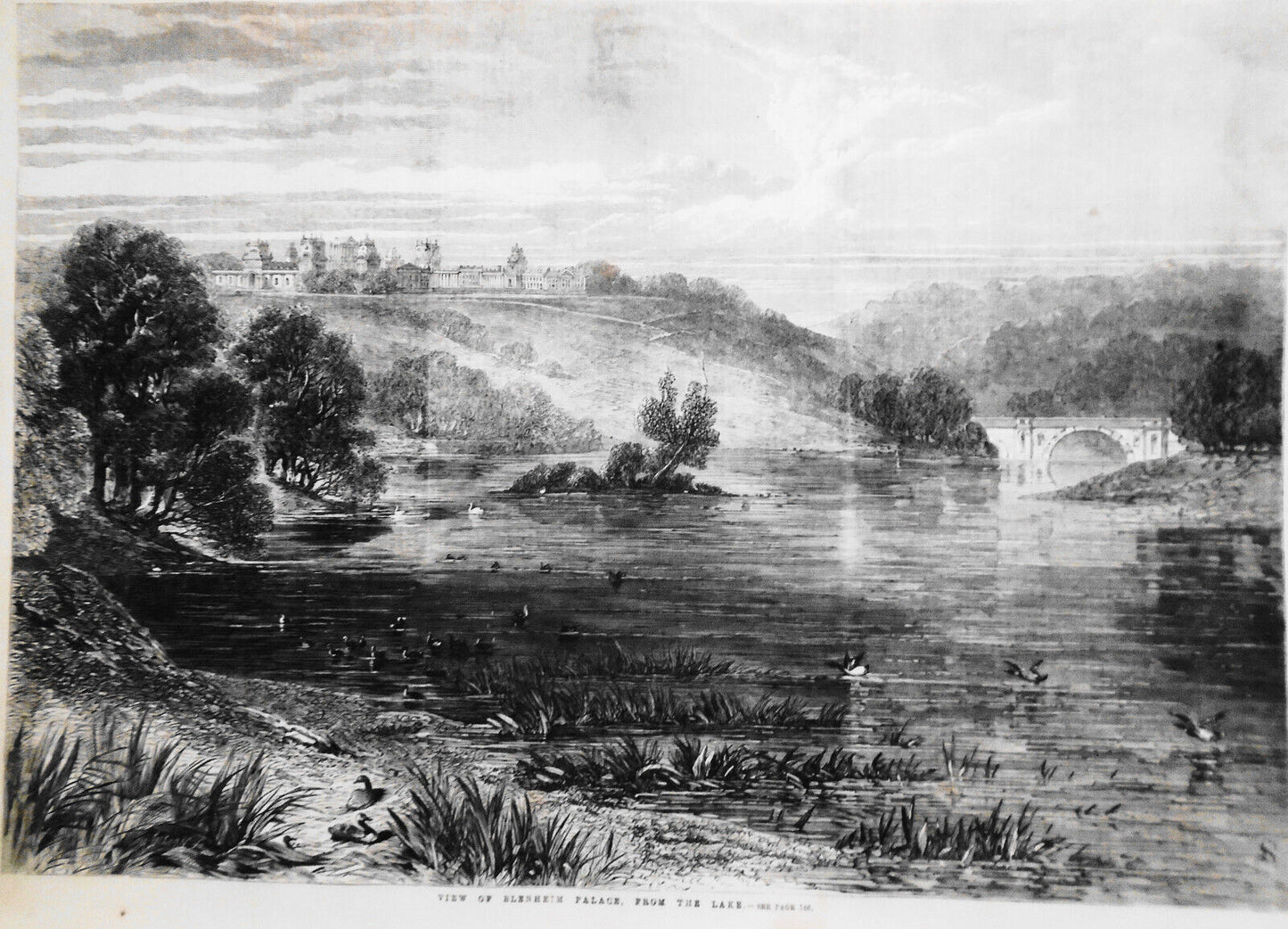 Slave Auctions in Richmond Virginia - Illustrated London News 2/16/1861 Complete