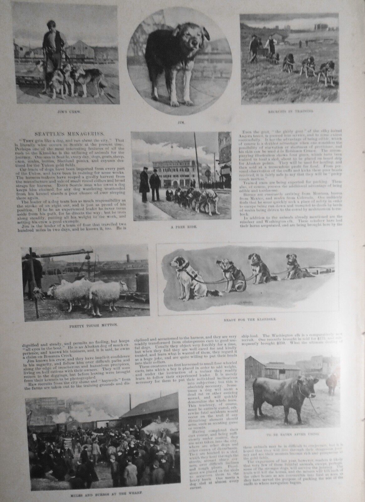 Harper's Weekly, April 16 1898 -  Navy cruisers & yachts; Spain's Naval strength