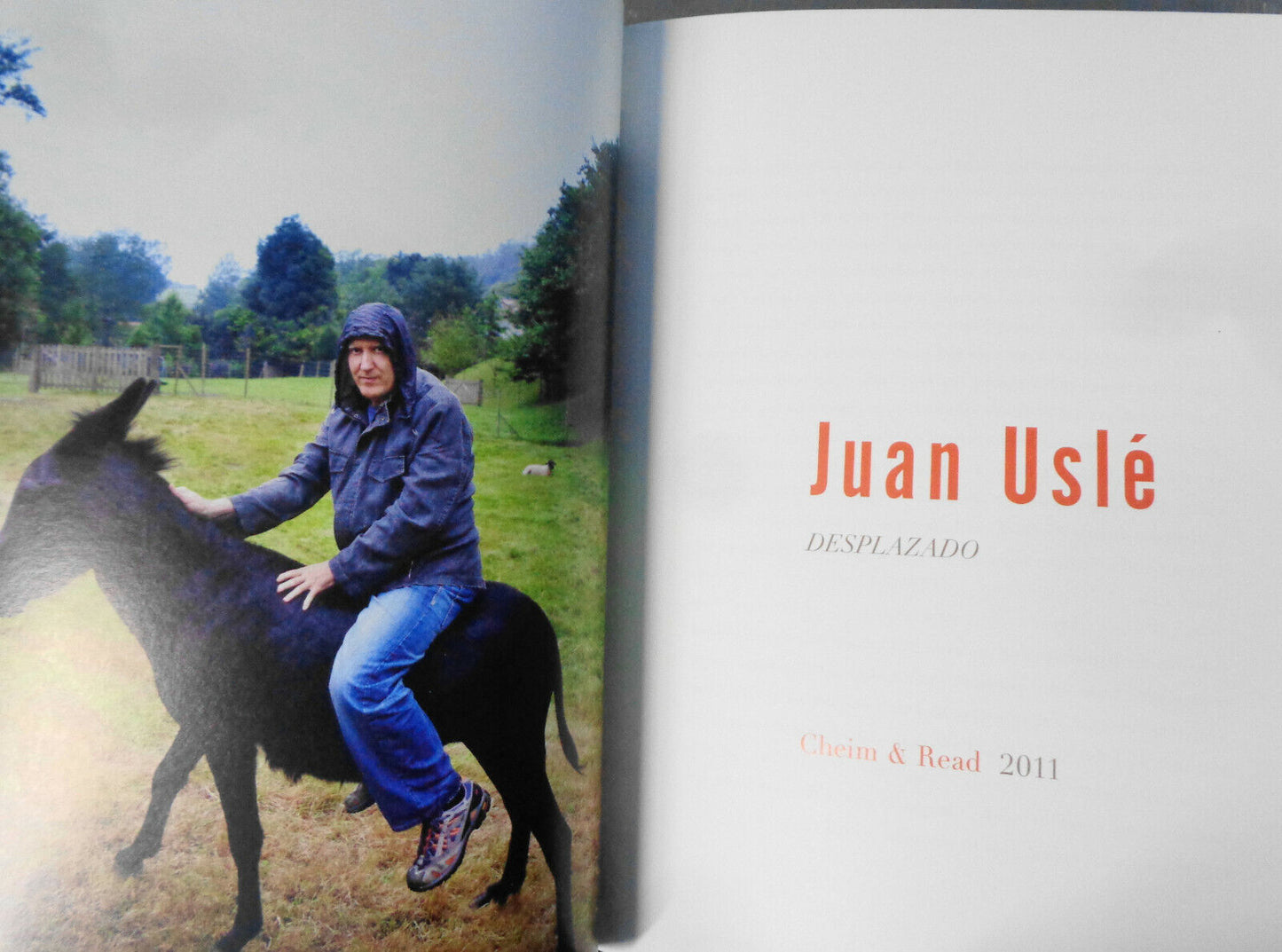 Juan Uslé : desplazado : [March 31 - May 7, 2011, Cheim & Read, New York.