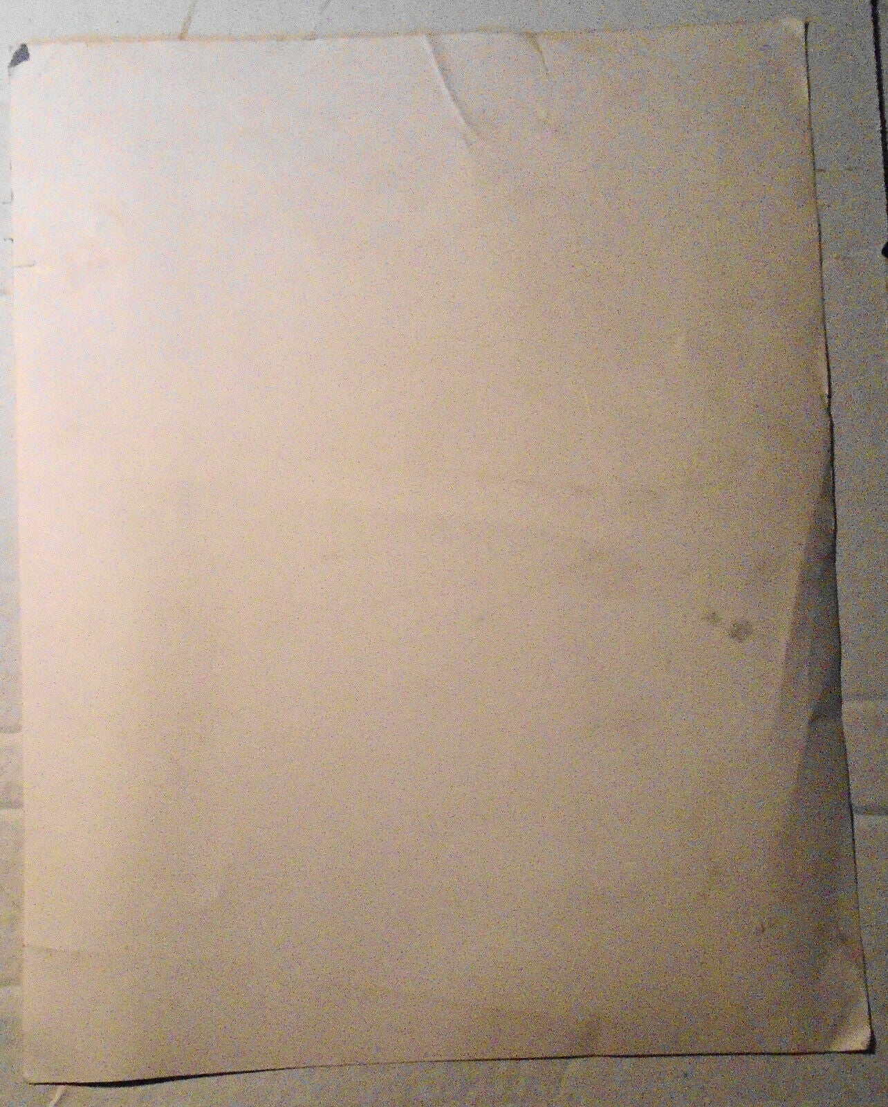 1950s African-American farming photo - original, 14 x 11 inches