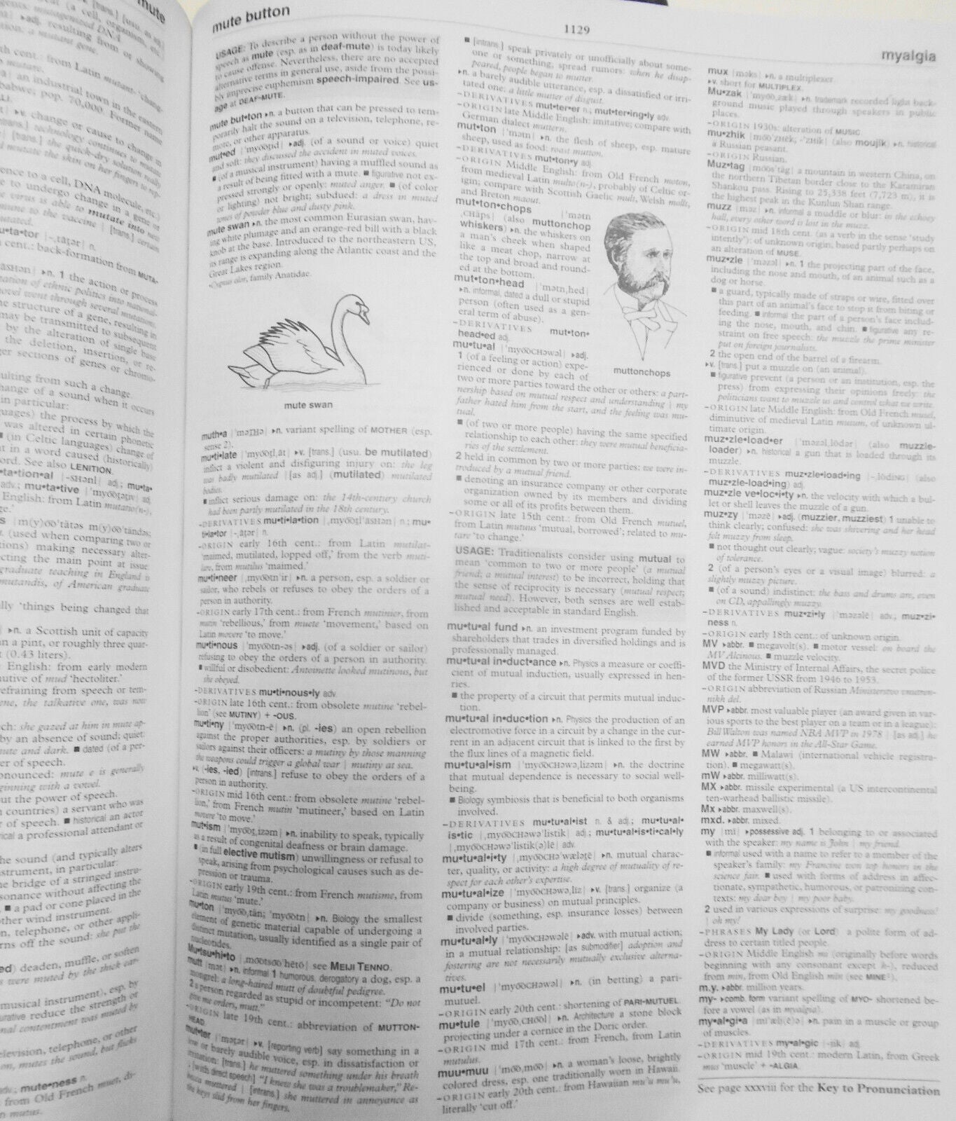New Oxford American Dictionary + Random House Encyclopedia