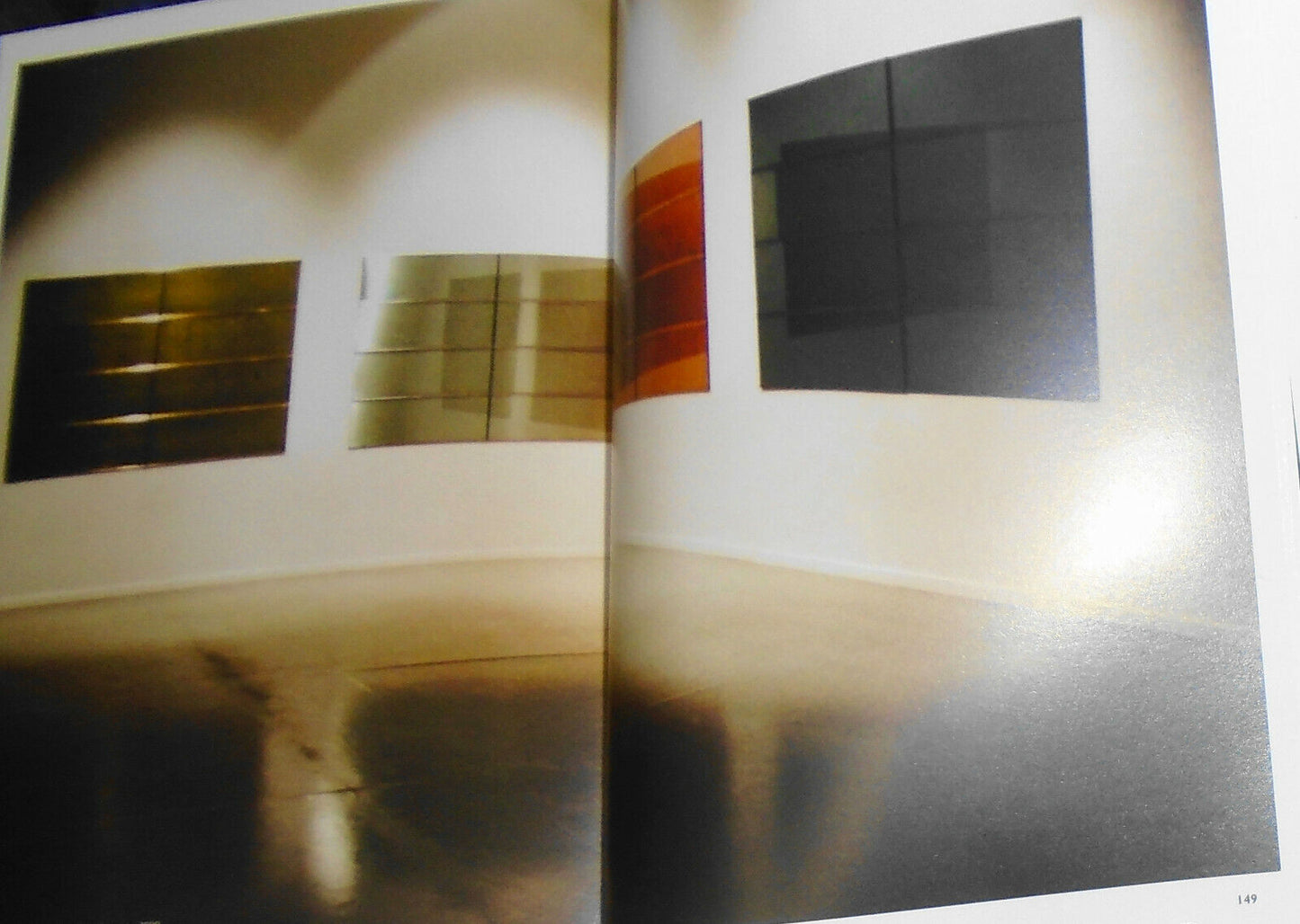 Fernando Sinaga - [editor y textos] Fernando Castro Florez. 2005