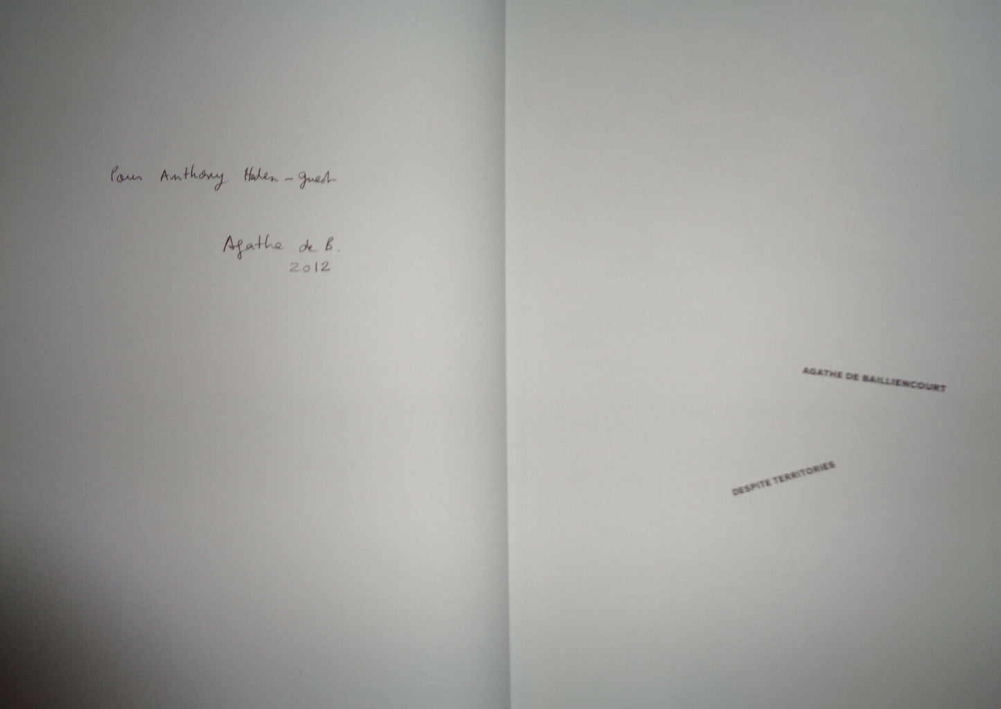 Agathe de Bailliencourt : Despite Territories - SIGNED - Berlin Revolver, 2010