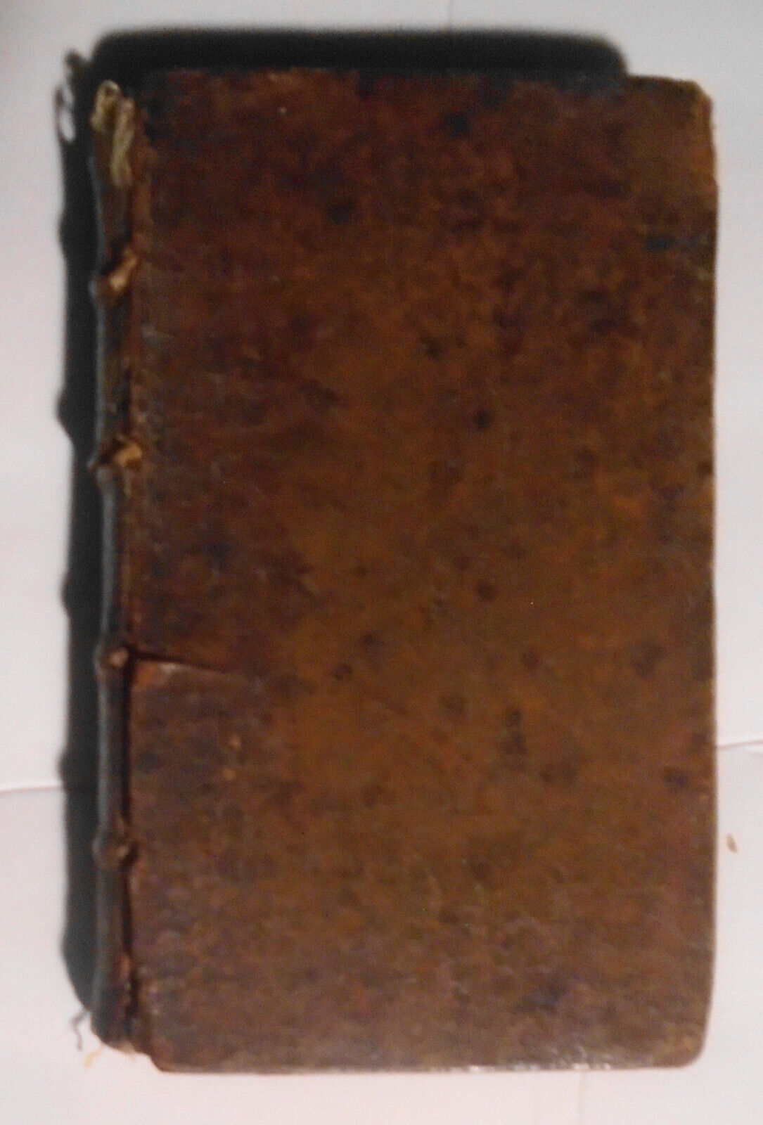 1669  book with vellum manuscript fragments bound in: Les Peintures Morales, v.2