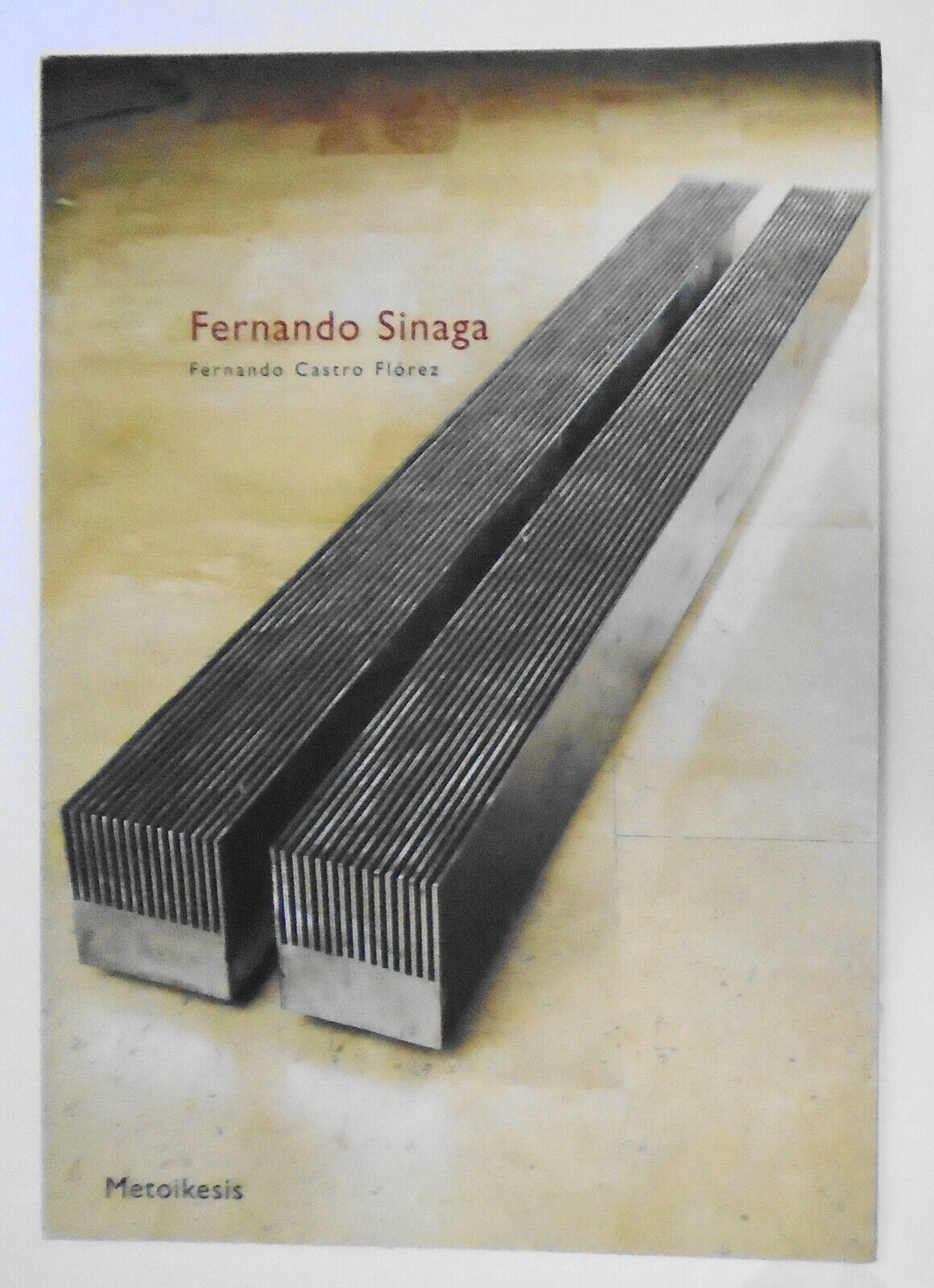 Fernando Sinaga - [editor y textos] Fernando Castro Florez. 2005