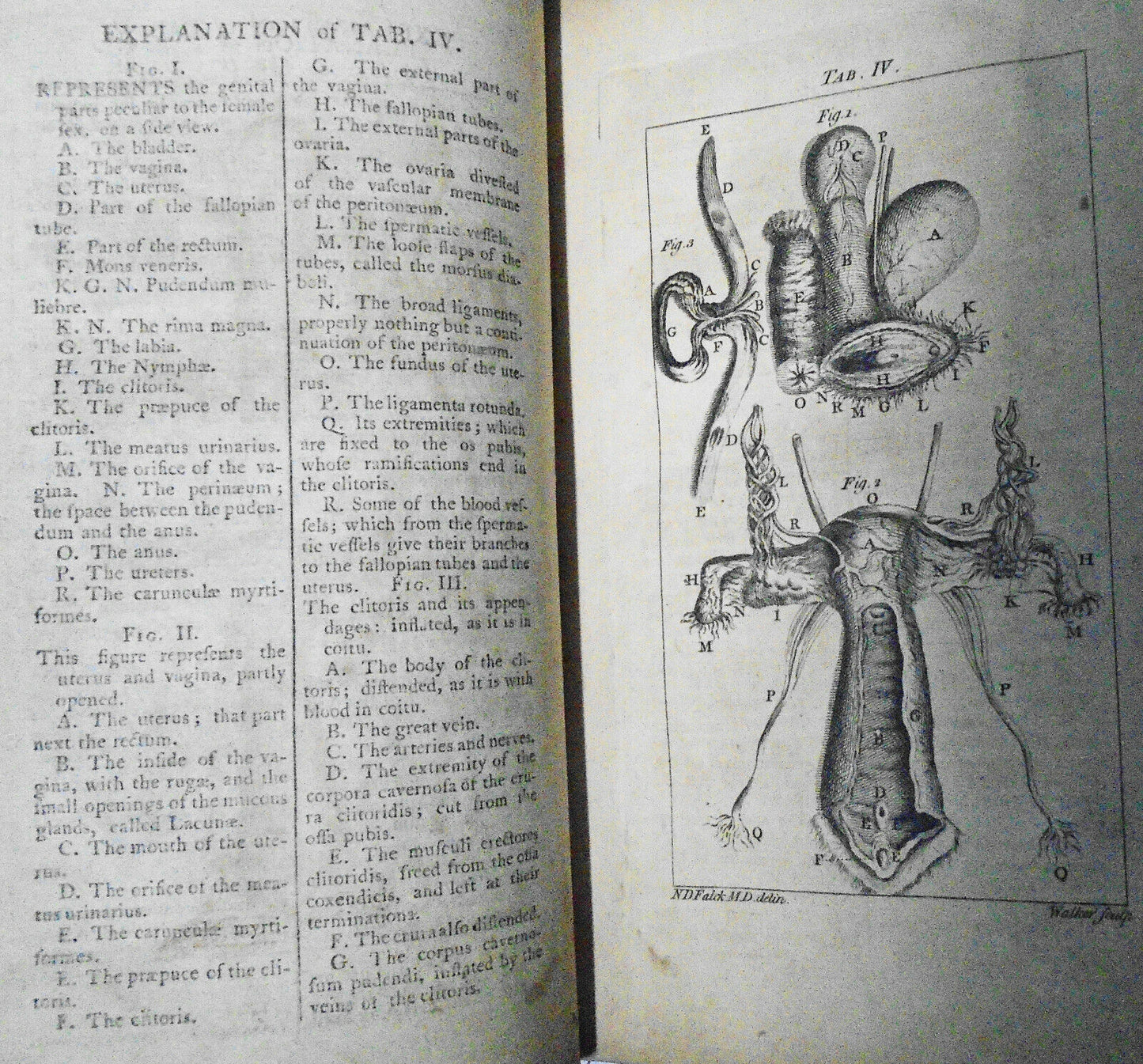 1774 A treatise on the venereal disease in three parts, by N D Falck