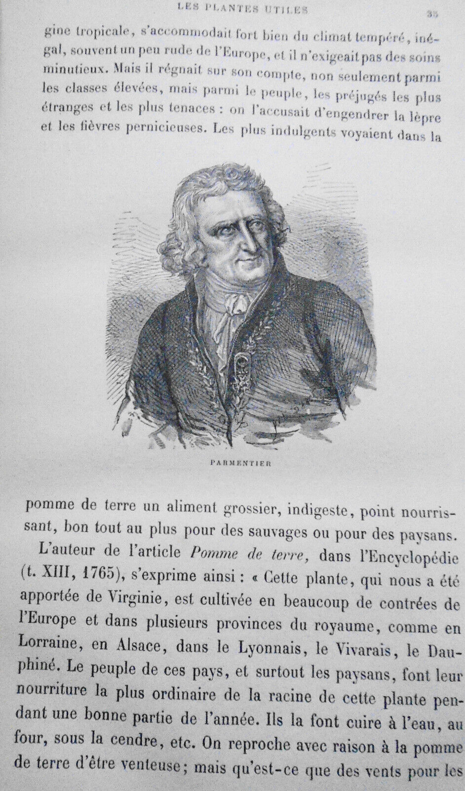 Les Plantes Utiles, by Arthur Mangin. 1886.