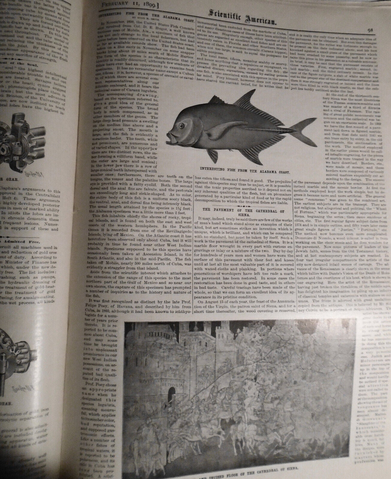 Scientific American - February 11, 1899 - Complete Original Issue.