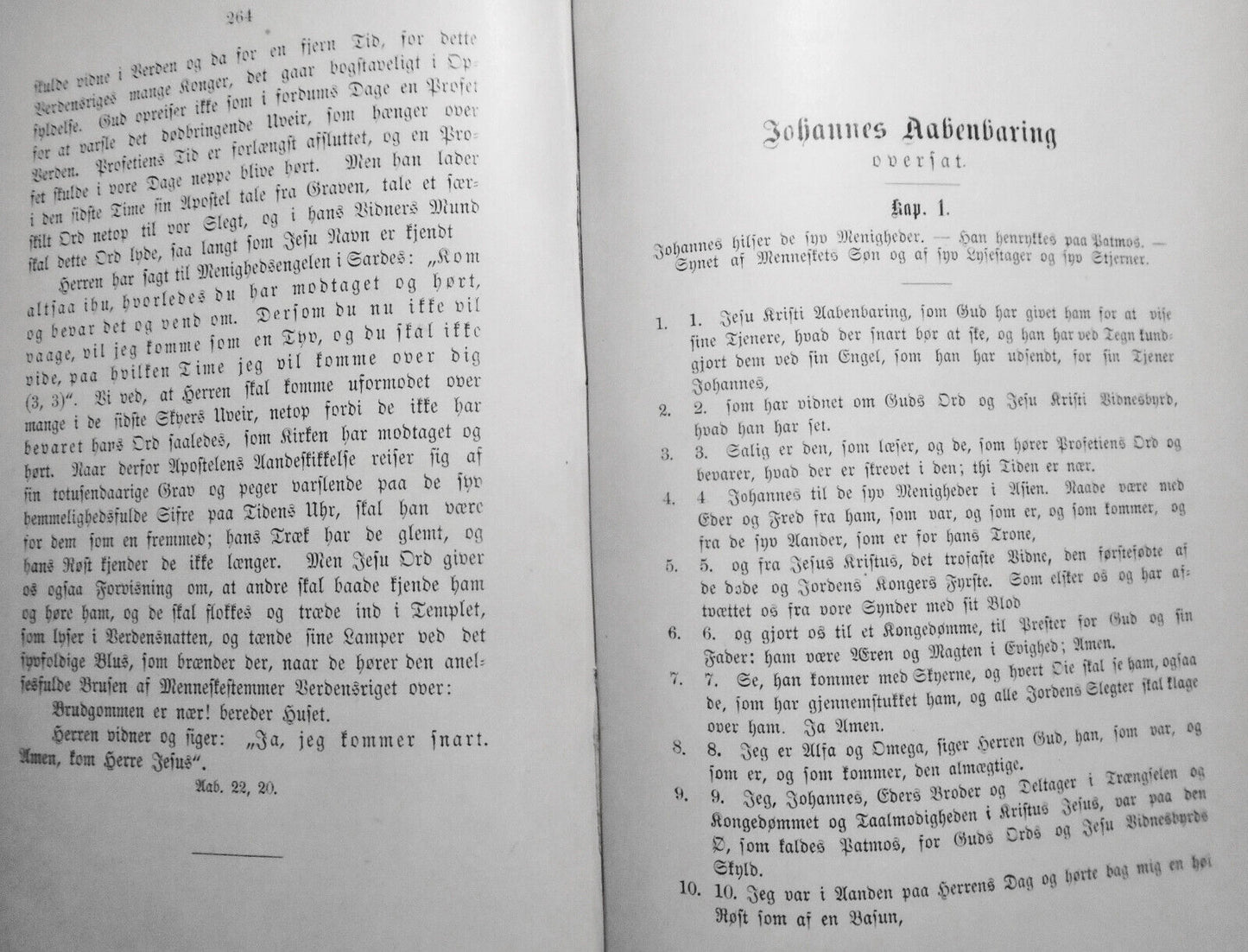 Dyret fra afgrunden i Johannes Aabenbaring, by C. Engelskjon. 1894 First Edition