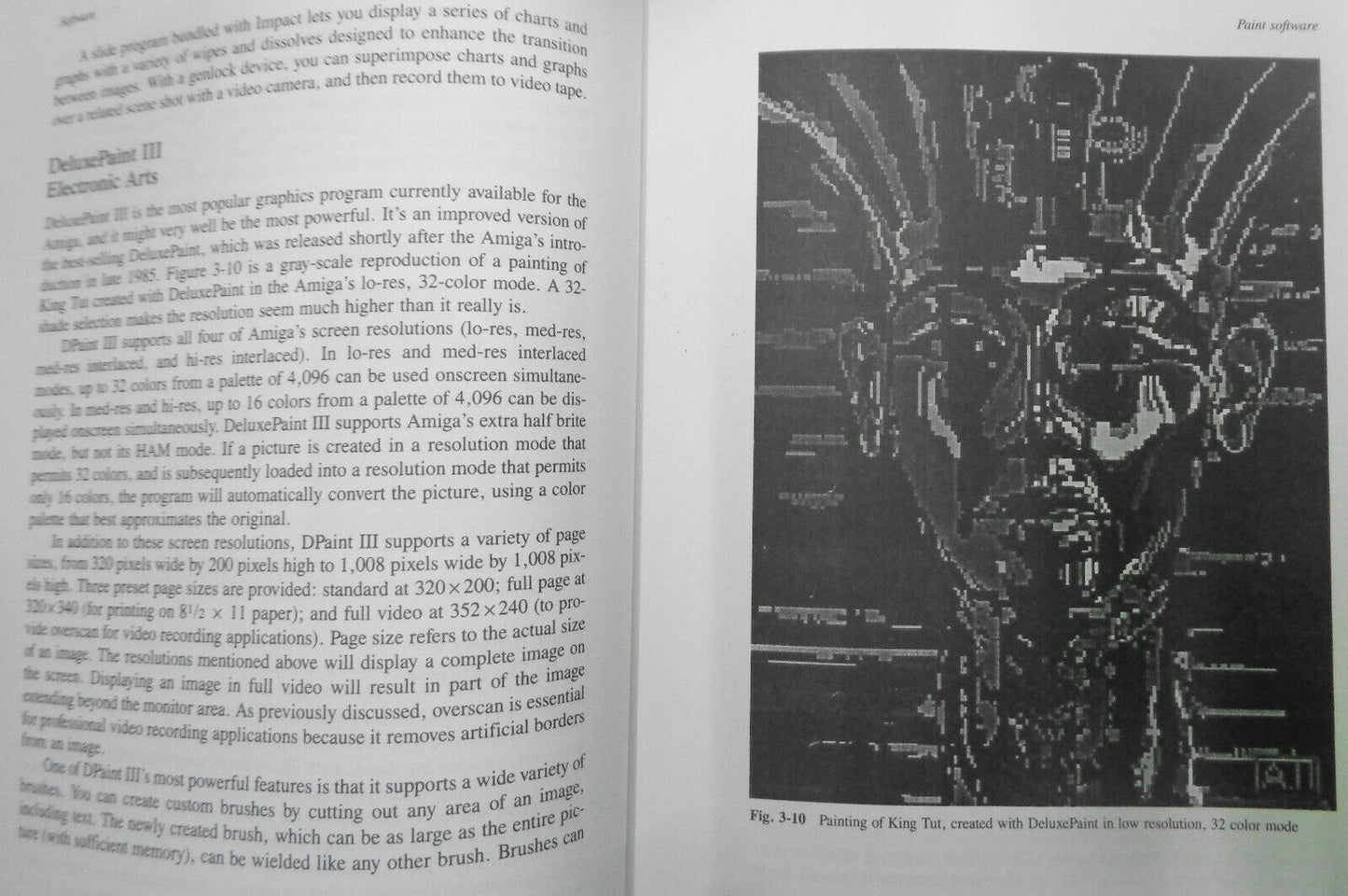 Desktop Video Production by Michael Brown. First Edition, 1990.