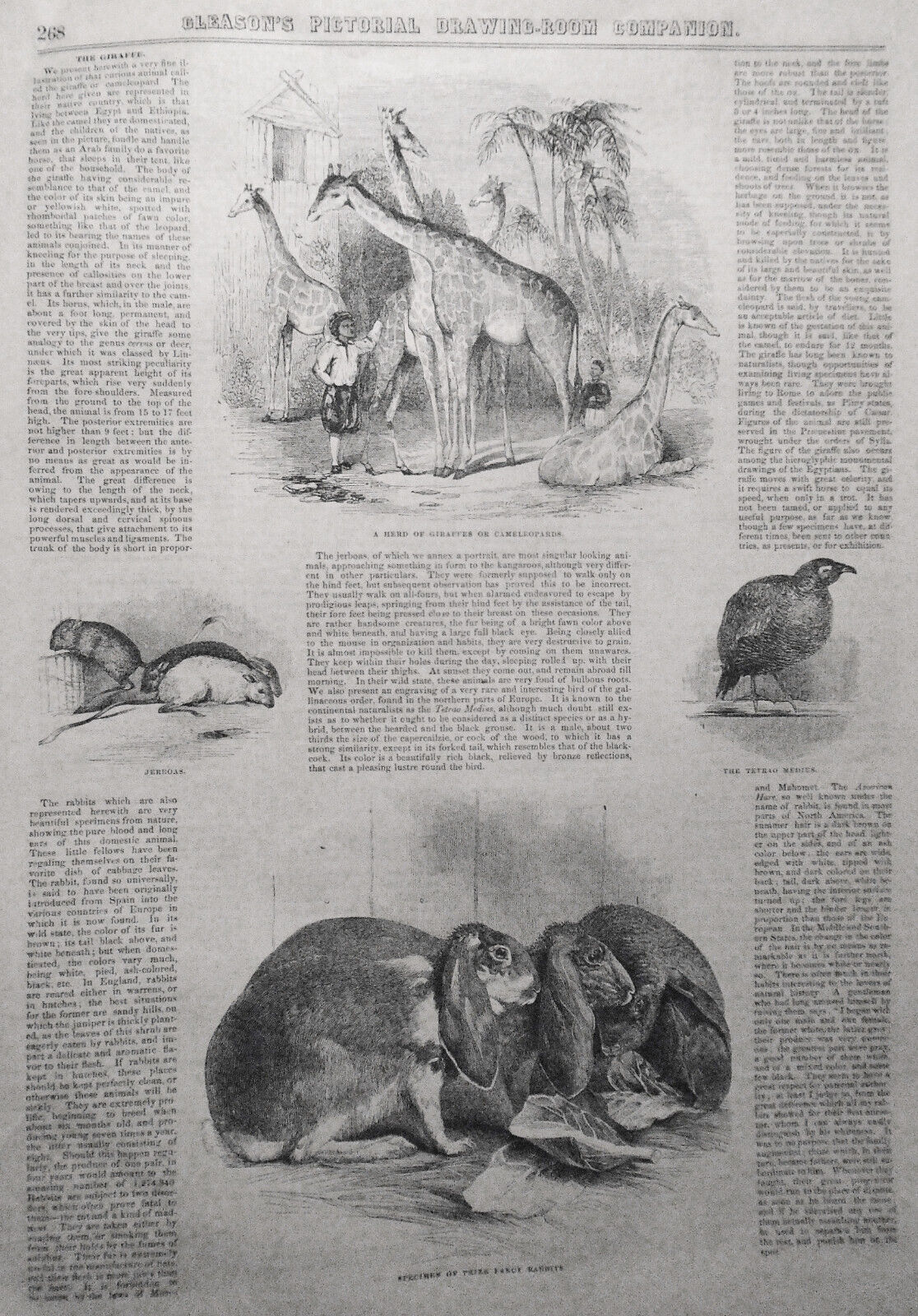 Gleason's Pictorial - April 24, 1852. Smithsonian Institute, Charleston Hotel...