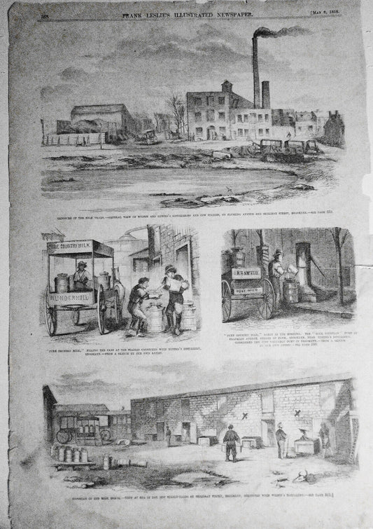 Exposure Of The Milk Trade - Husted's Distilleries And Cow Stables - 1858