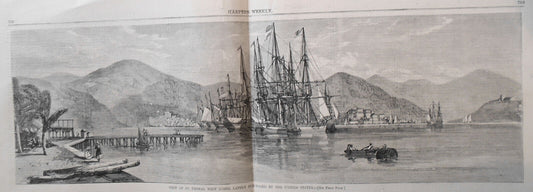 St. Thomas, West Indies / Shooting Buffalo & Deer - Harper's Weekly Dec 14 1867